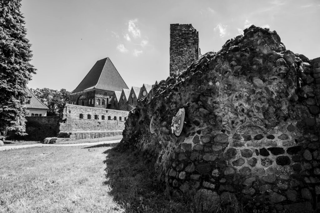 vzdelavanie-financie-ekonomika-podnikanie-1067