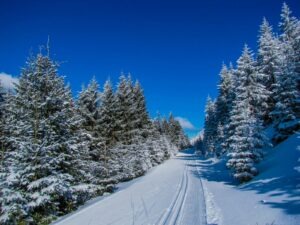 vzdelavanie-financie-ekonomika-podnikanie-1071