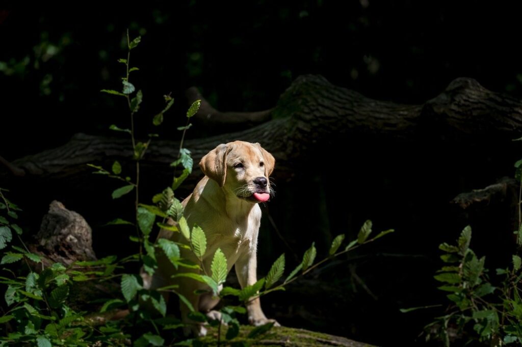 vzdelavanie-financie-ekonomika-podnikanie-1123