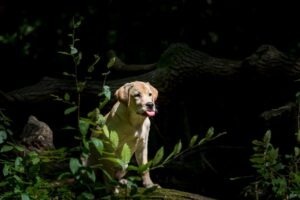 vzdelavanie-financie-ekonomika-podnikanie-1123