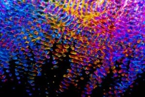 vzdelavanie-financie-ekonomika-podnikanie-1143