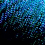 vzdelavanie-financie-ekonomika-podnikanie-1145