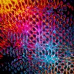 vzdelavanie-financie-ekonomika-podnikanie-1150