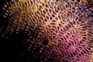 vzdelavanie-financie-ekonomika-podnikanie-1154