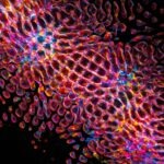 vzdelavanie-financie-ekonomika-podnikanie-1158