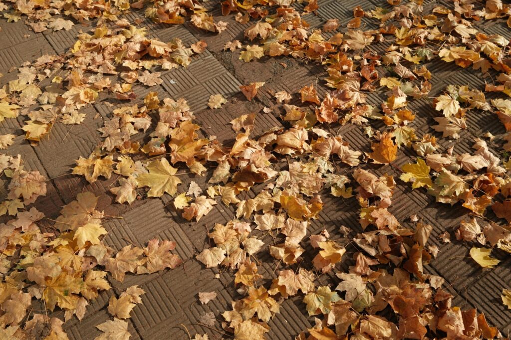 vzdelavanie-financie-ekonomika-podnikanie-1165