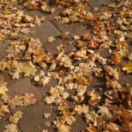 vzdelavanie-financie-ekonomika-podnikanie-1165