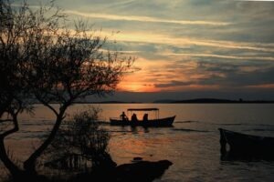 vzdelavanie-financie-ekonomika-podnikanie-1327