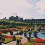 vzdelavanie-financie-ekonomika-podnikanie-135