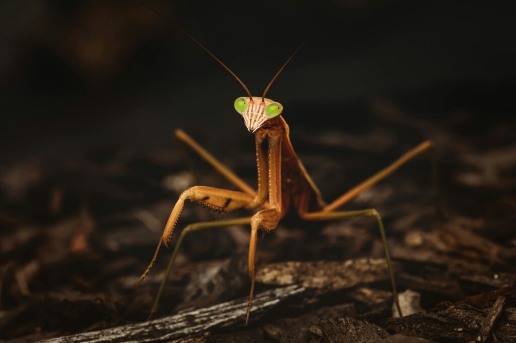 vzdelavanie-financie-ekonomika-podnikanie-1358