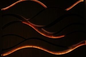 vzdelavanie-financie-ekonomika-podnikanie-1361