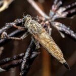 vzdelavanie-financie-ekonomika-podnikanie-1399