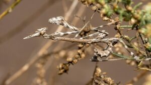 vzdelavanie-financie-ekonomika-podnikanie-1400