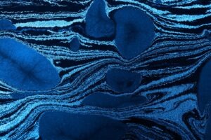 vzdelavanie-financie-ekonomika-podnikanie-1438