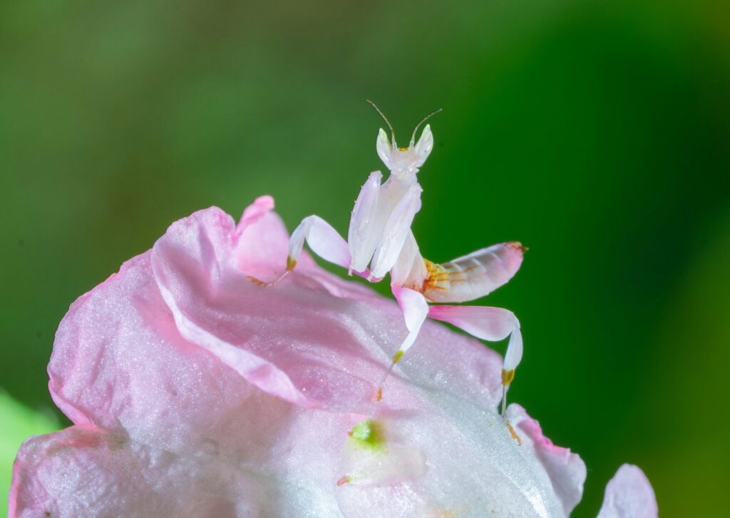 vzdelavanie-financie-ekonomika-podnikanie-1488