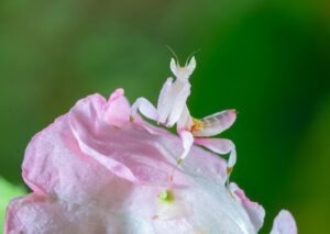 vzdelavanie-financie-ekonomika-podnikanie-1488