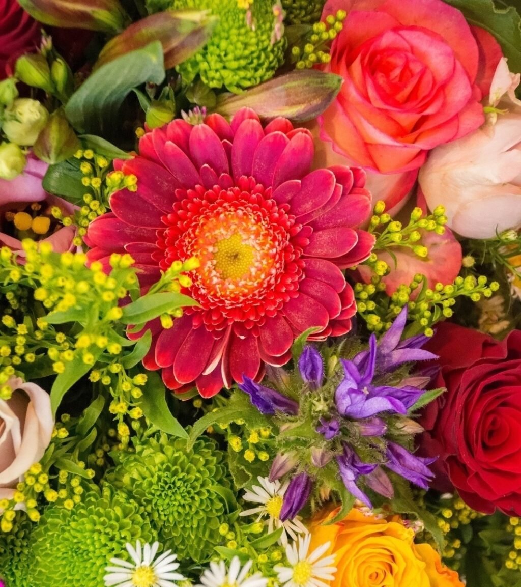 vzdelavanie-financie-ekonomika-podnikanie-1602