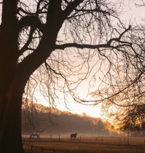 vzdelavanie-financie-ekonomika-podnikanie-1674