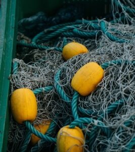 vzdelavanie-financie-ekonomika-podnikanie-1712