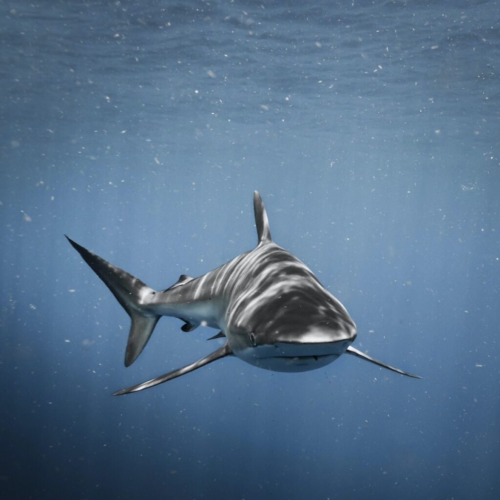 vzdelavanie-financie-ekonomika-podnikanie-1812