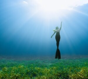 vzdelavanie-financie-ekonomika-podnikanie-1874