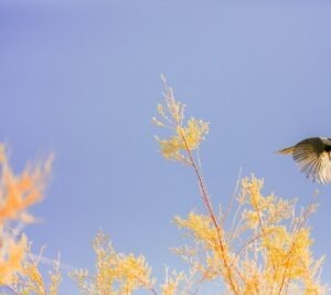 vzdelavanie-financie-ekonomika-podnikanie-1875