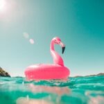 vzdelavanie-financie-ekonomika-podnikanie-2029