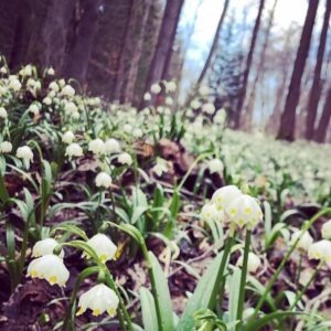 vzdelavanie-financie-ekonomika-podnikanie-2050