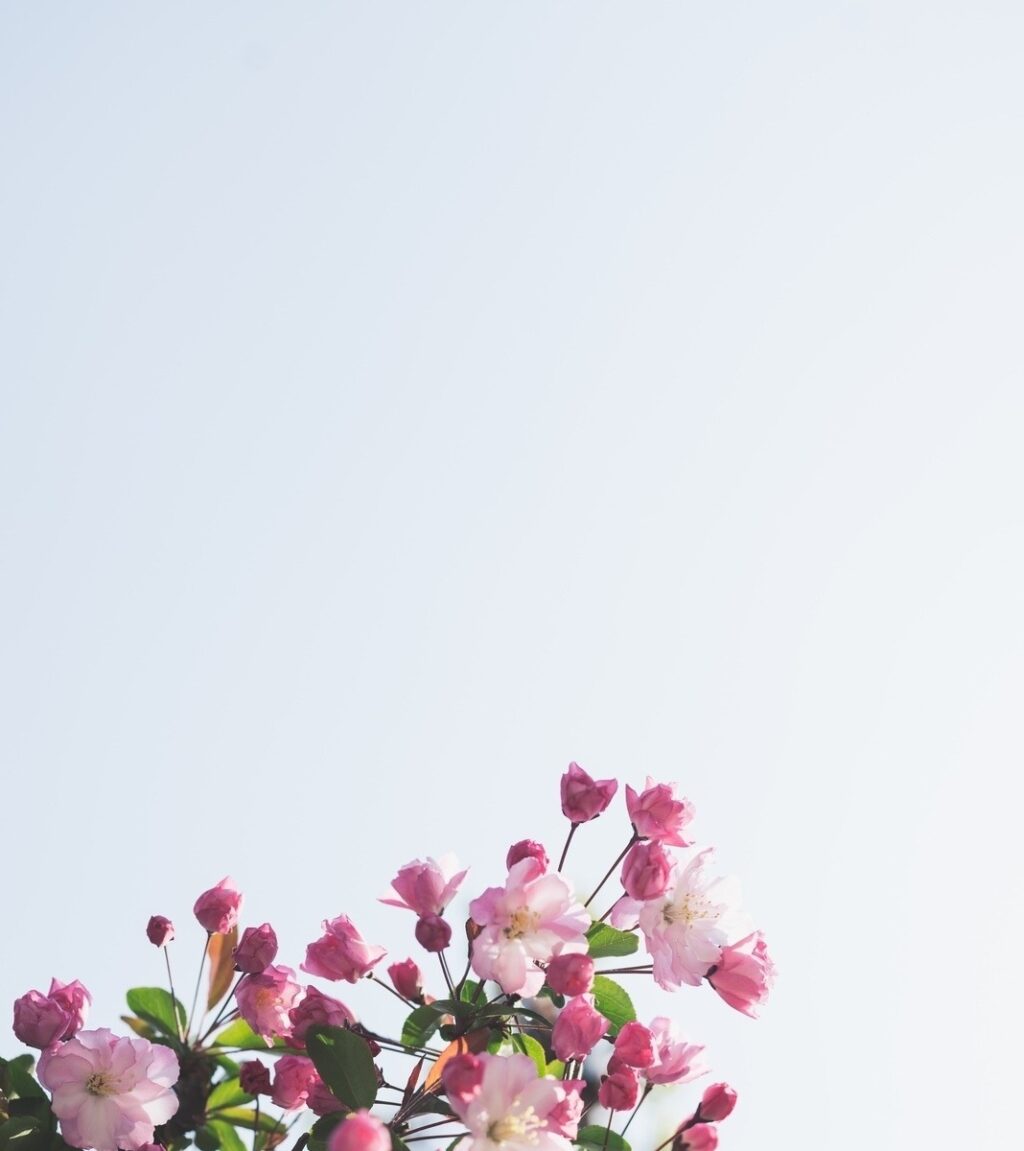 vzdelavanie-financie-ekonomika-podnikanie-2052