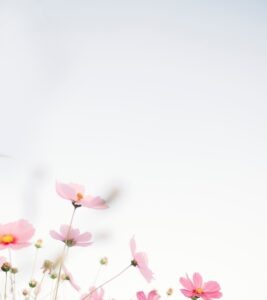 vzdelavanie-financie-ekonomika-podnikanie-2057