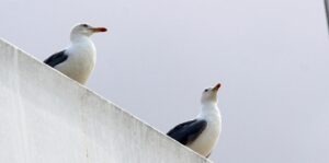 vzdelavanie-financie-ekonomika-podnikanie-2077