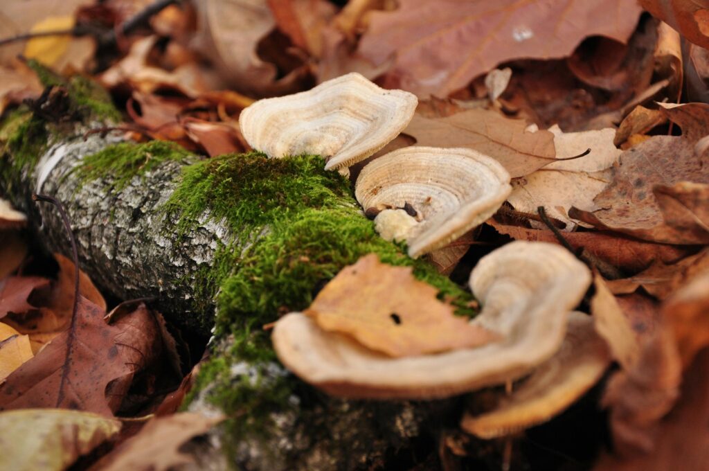 vzdelavanie-financie-ekonomika-podnikanie-2150