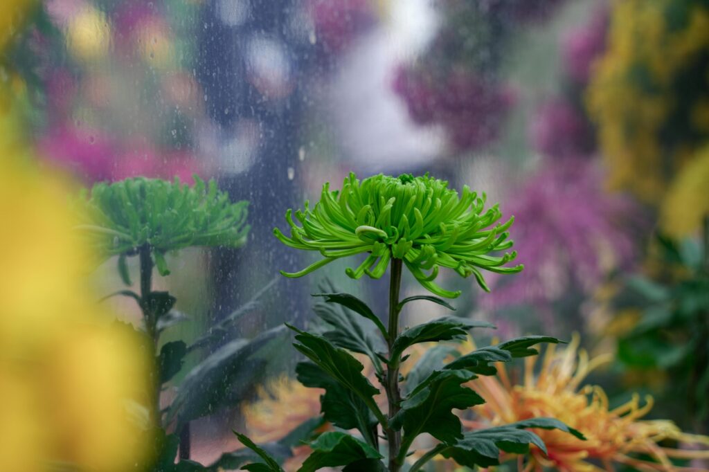 vzdelavanie-financie-ekonomika-podnikanie-2151