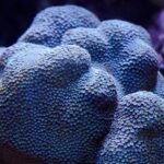 vzdelavanie-financie-ekonomika-podnikanie-2152