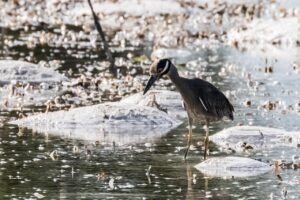 vzdelavanie-financie-ekonomika-podnikanie-2160