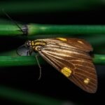 vzdelavanie-financie-ekonomika-podnikanie-2252