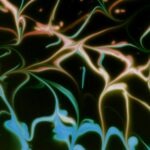 vzdelavanie-financie-ekonomika-podnikanie-2307