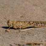 vzdelavanie-financie-ekonomika-podnikanie-2353