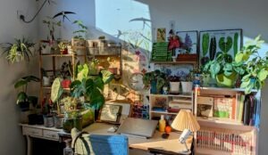 vzdelavanie-financie-ekonomika-podnikanie-2363