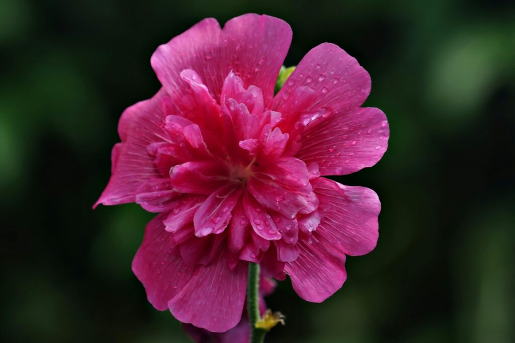 vzdelavanie-financie-ekonomika-podnikanie-2420