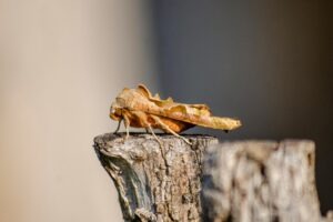 vzdelavanie-financie-ekonomika-podnikanie-2455