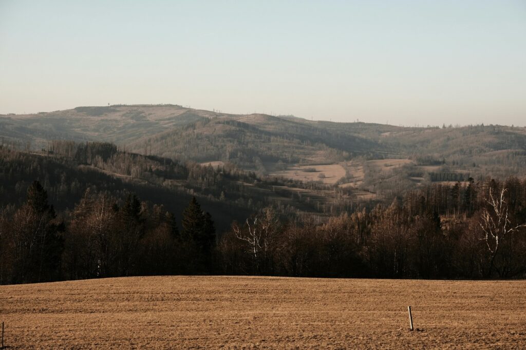 vzdelavanie-financie-ekonomika-podnikanie-2500