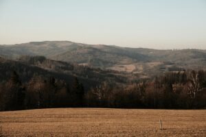 vzdelavanie-financie-ekonomika-podnikanie-2500