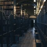 vzdelavanie-financie-ekonomika-podnikanie-256