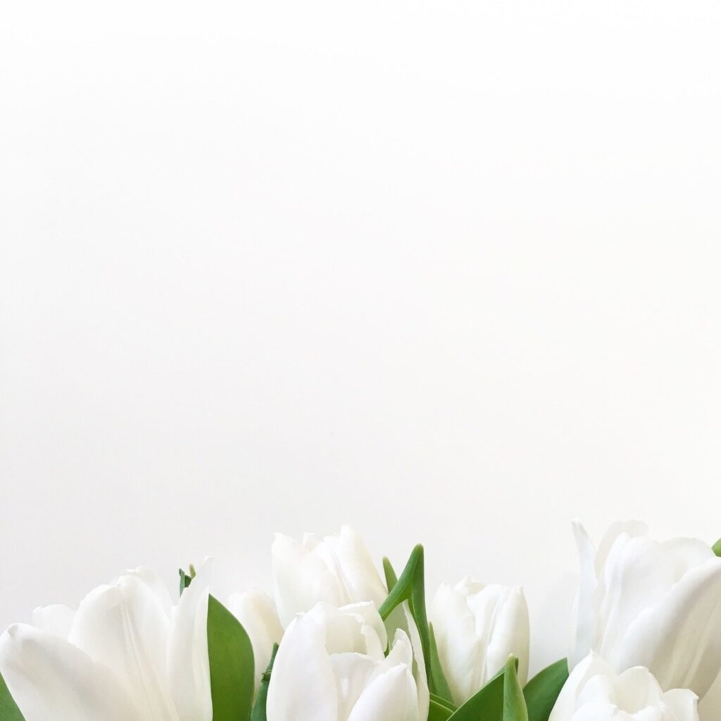 vzdelavanie-financie-ekonomika-podnikanie-2625