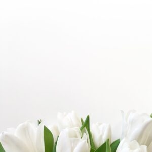 vzdelavanie-financie-ekonomika-podnikanie-2625