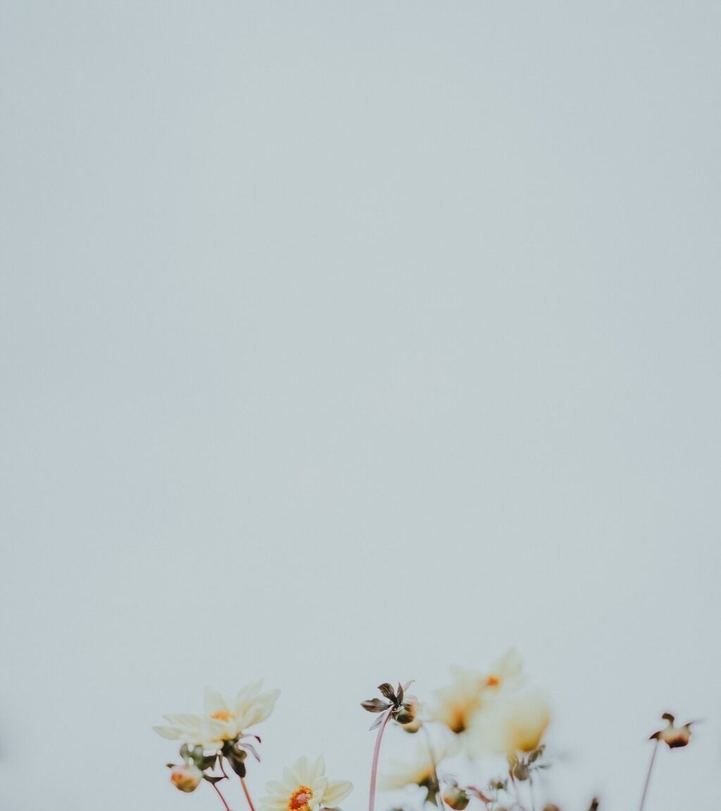 vzdelavanie-financie-ekonomika-podnikanie-2647