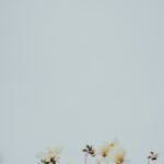 vzdelavanie-financie-ekonomika-podnikanie-2647