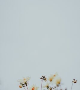 vzdelavanie-financie-ekonomika-podnikanie-2647