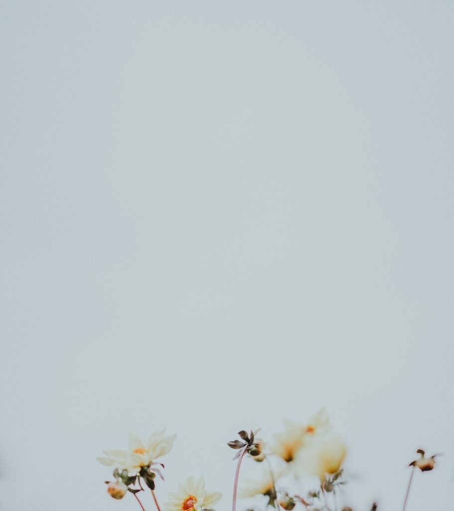 vzdelavanie-financie-ekonomika-podnikanie-2647